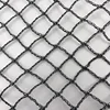 professional HDPE agricultural anti bird netting and pond netting with nails for garden and vineyard manufacturer and exporter