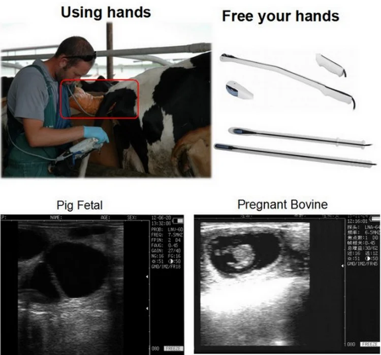Dairy Farm Use Portable Cow Scanner Veterinary Pregnancy Diagnose