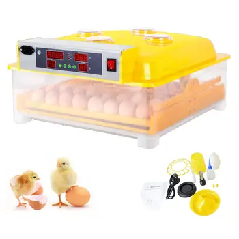 Solar egg incubator price