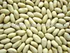 /product-detail/blanched-peanut-haihua--261093052.html