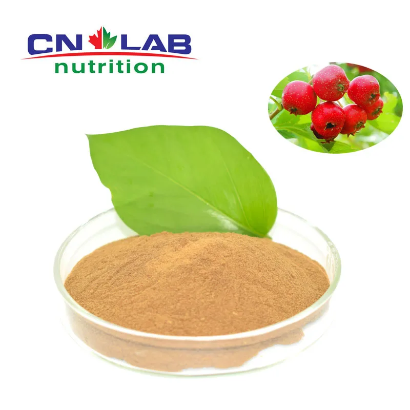 high quality hawthorn berry extract powder with competitive