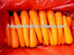 bdc07New-crop-best-price-fresh-Carrot.jpg_250x250