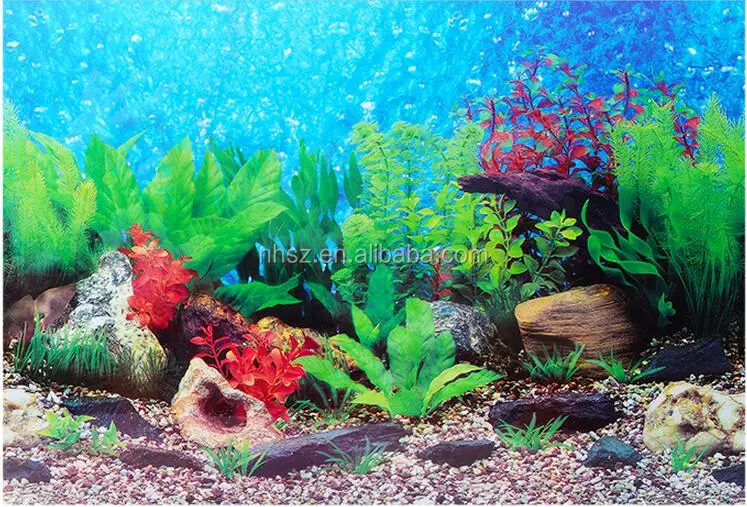 3d Coral Aquarium Background Poster Pvc Fish Tank Decorations Landscape -  Buy Photo Background,Aquarium 3d Background,Coral Rojo Precio Product on  