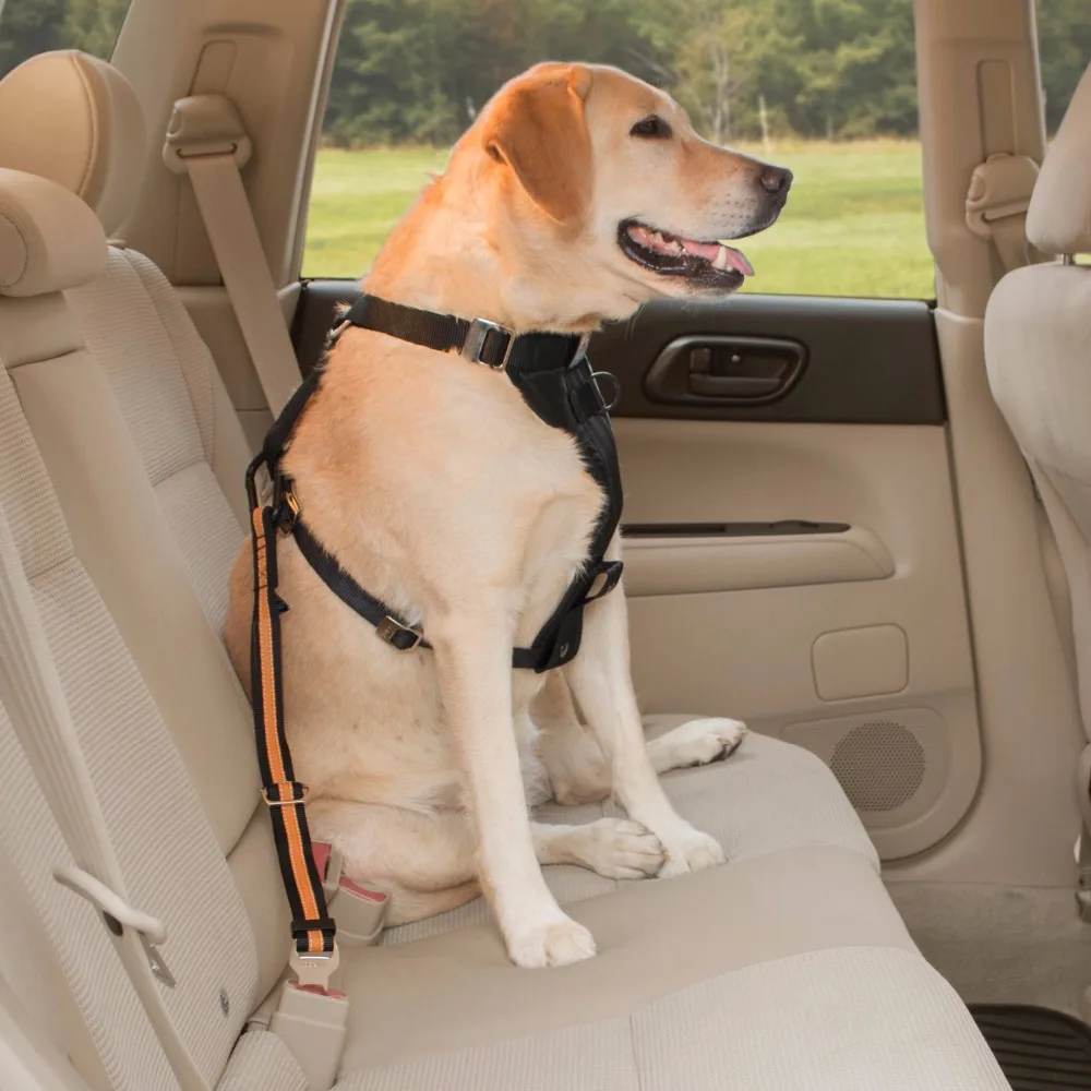 Dog Car Safety >> Dog Car Seat Belt Pet Accessory Vehicle Car Safety Harness Leash Buy Pet Safety Belt Product On Alibaba Com Dog Car Safety >> Dog Car Seat Belt Pet Accessory Vehicle Car Safety Harness Leash Buy Pet Safety Belt Product On Alibaba Com