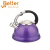 Stainless Steel Whistling Tea Pot Kettle With Nice Color Coating