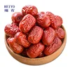 Dreid date exporter in China best sale