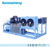 Snowkey 1 Ton Ice Block Making Machine South Africa