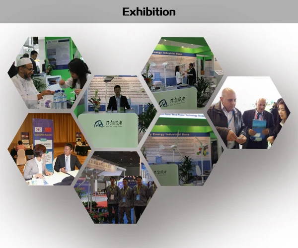 Hot selling mini 12V/24V 200watt magnetic wind power generator for home