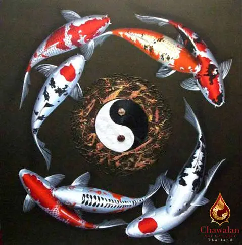 Gambar Ikan Koi Yin Yang