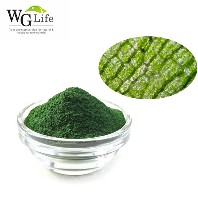 China Natural Green Food Coloring Wholesale 🇨🇳 - Alibaba China Natural Green Food Coloring Wholesale 🇨🇳 - Alibaba