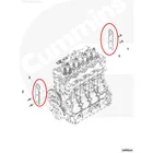 Foton cummins 3.8. Foton cummins 3.8