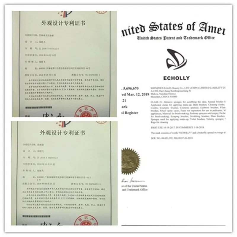 echolly certificate.jpg