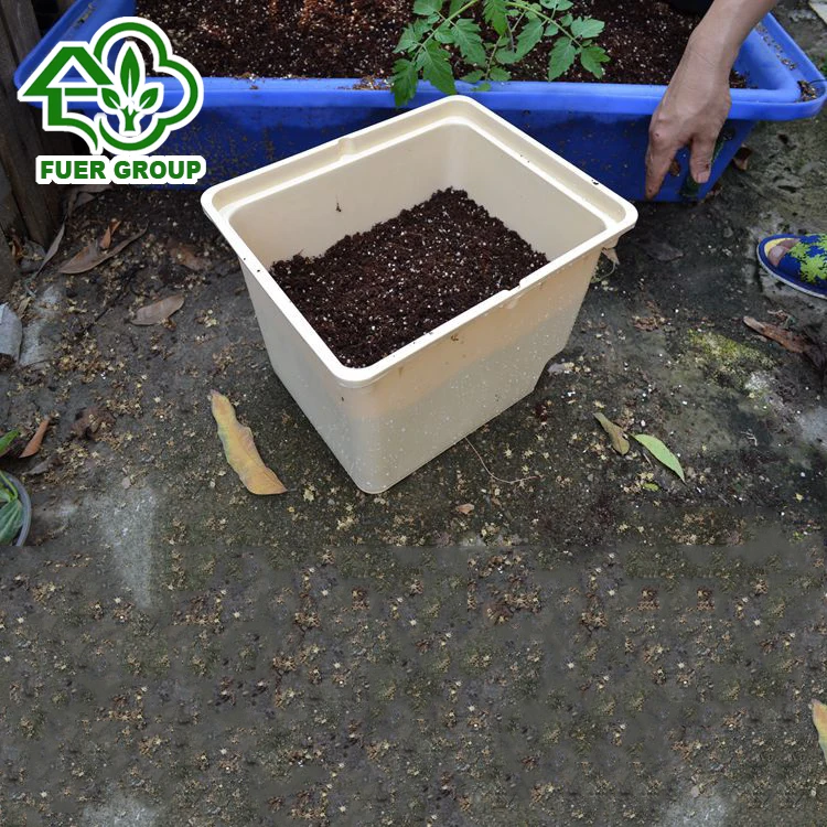 Agricultural Hydroponic Tomato Growing Dutch Bucket System Buy