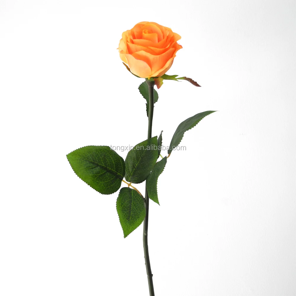 stem divorced singles personals If you're dating a divorced man, here are some tips from relationship experts on what you need to know as your relationship moves forward. stem divorced singles personals If you're dating a divorced man, here are some tips from relationship experts on what you need to know as your relationship moves forward.