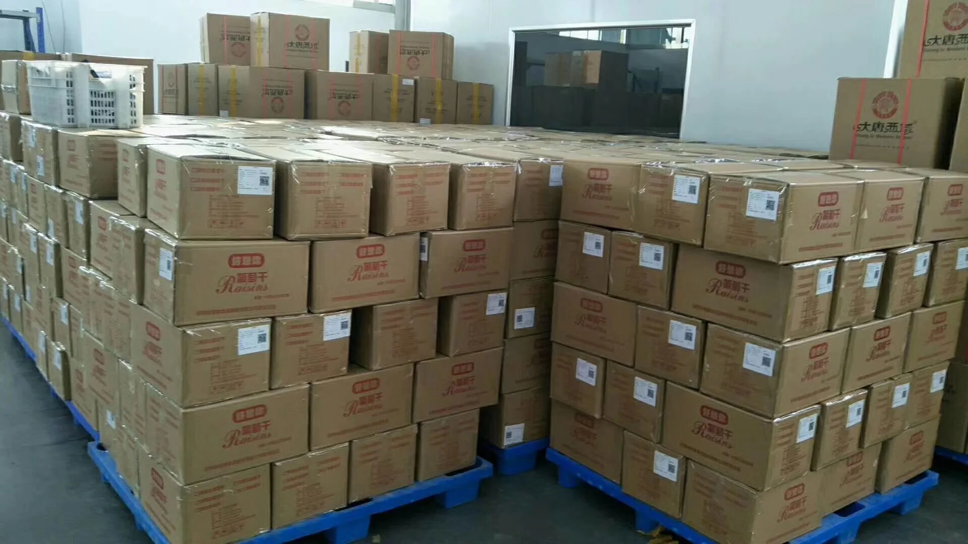 whole raw walnut in shell walnut export