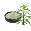 China Professional Healthy Brain Function 98% Sesamolin powder Black Sesame Extract