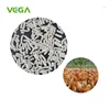 VEGA OEM Service China Supplier Natural Digestive Stomach Function Chicken Feed Florfenicol Water Soluble