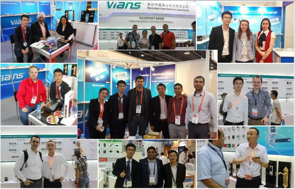 our exhibitions