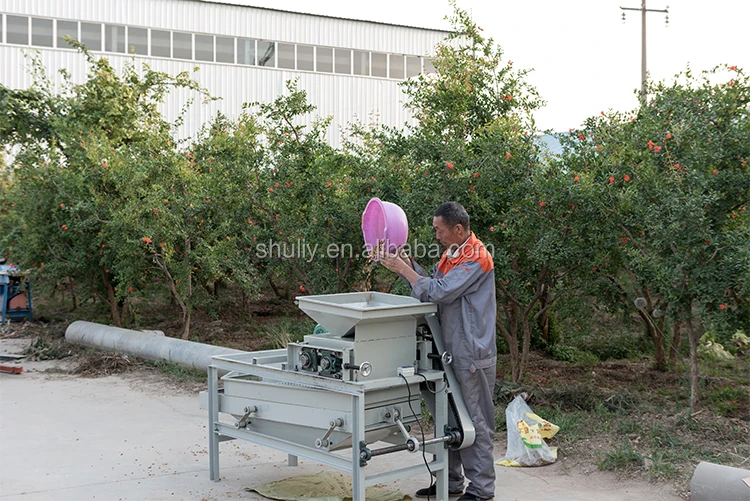 Small Almond Apricot Cracking Shelling Machine Almond Nut Cracking