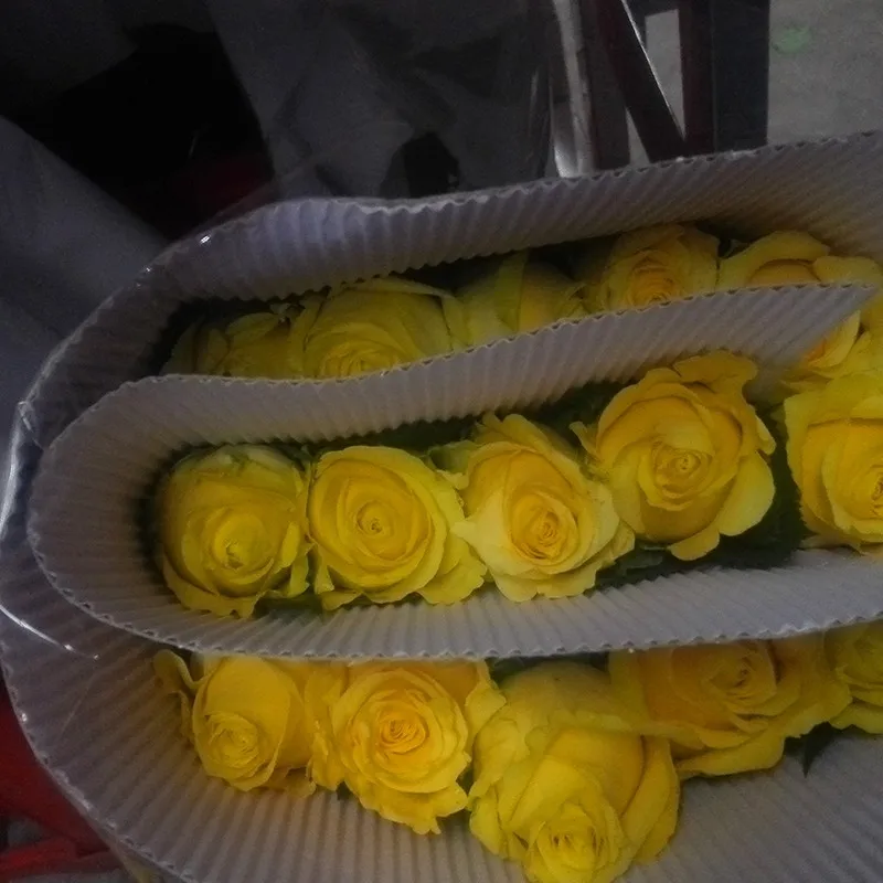 Dubai Fresh Flower Importers Rose Flowers Rare Rose Fresh Anthurium