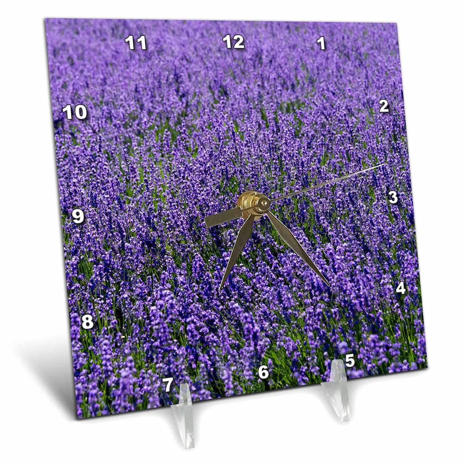 Danita Delimont - Flower - Lavender, Furano, Hokkaido Prefecture, Japan - 6x6 Desk Clock (dc_225872_1)