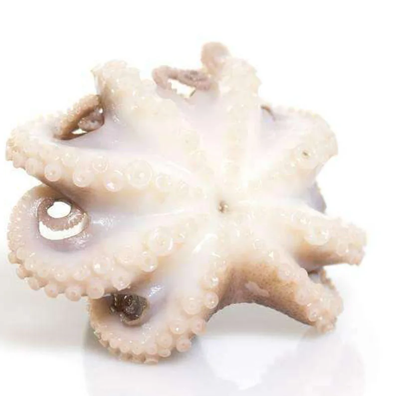
frozen whole cleaned baby octopus 