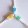 2018 hot sale Comfortable Toothbrush for adult use