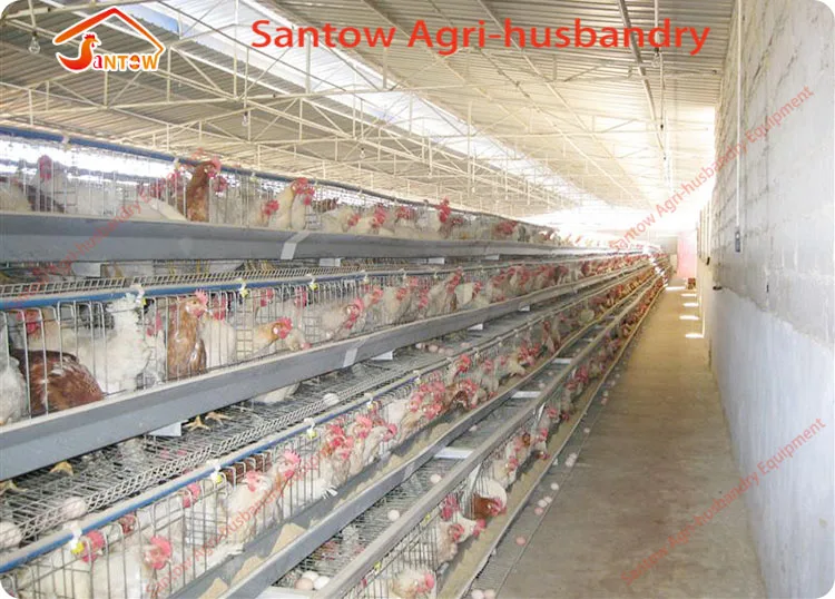 Hot Sale Automatic Design Chicken Cage Galvanized Low