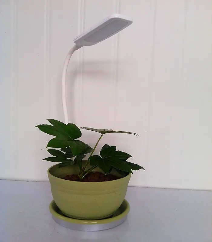 new products china made led grow light led grow indoor 3-6w