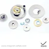 Nickel Coating Ring Shape Dailymag N35 neodymium magnet