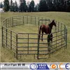 China high quality cheap horse round pens