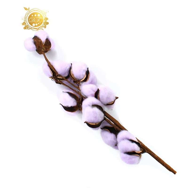 wholesale natural artificial dried cotton stem for home decor