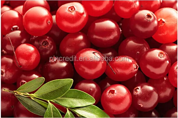 hot pink food coloring-Source quality hot pink food coloring from ... hot pink food coloring-Source quality hot pink food coloring from ...