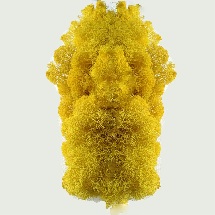 Wholesale Best Quality Kunming Grade A Preserved reindeer moss for Wall Decoration