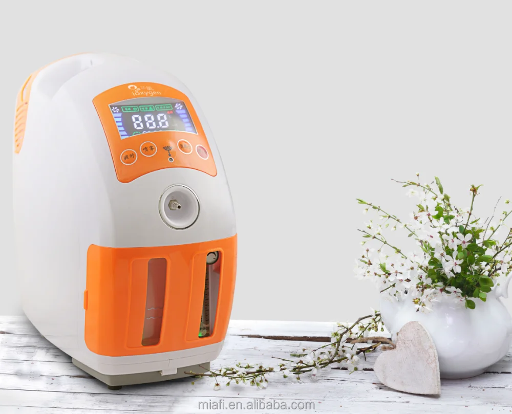 
9L/min low price zeolite molecular sieve oxygen plant psa oxygen generator 