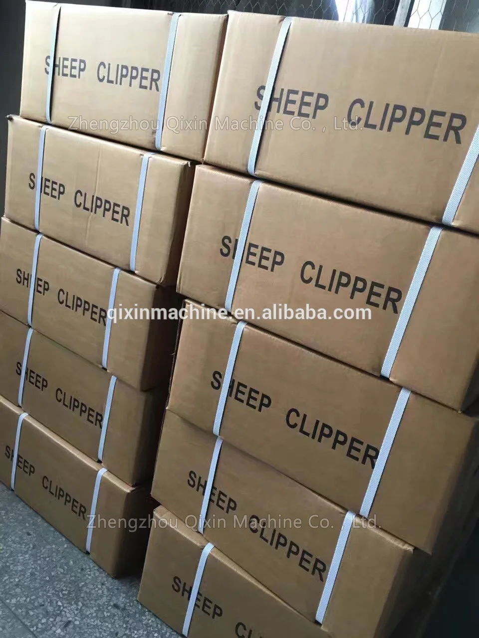 electric scissors to shear sheep