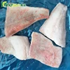 indian best quality frozen seafoods red snapper fish steak