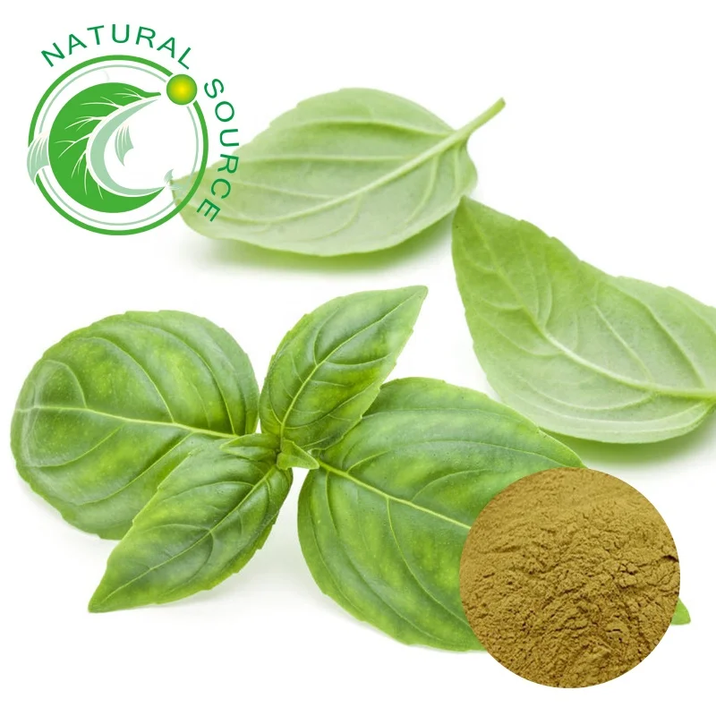 100 Natural High Quality Plant Volatile Oil Holy Basil Leaf Extract