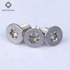 China Screw Manufacturer Torx Micro Nylon Patch Screw For Phone