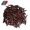 Certified KOSHER/ HALAL/ HACCP Roasted Chili, Smoked Paprika, Roasted Chilli Powder