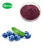 Factory provide Russian materials high quality 25%Anthocyanosides bilberry Vaccinium myrtillus extract