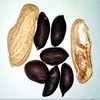 Peanut price of 2017new crop factory black skin peanuts kernel
