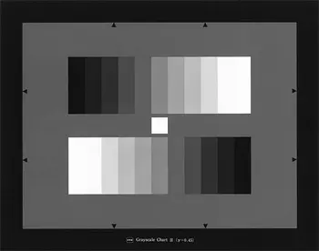 Color Chart Grayscale