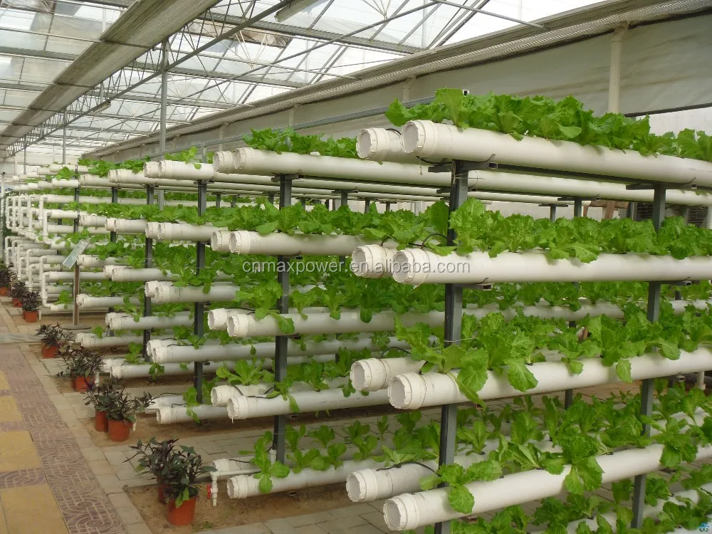 Hydroponic Supplies For Sale