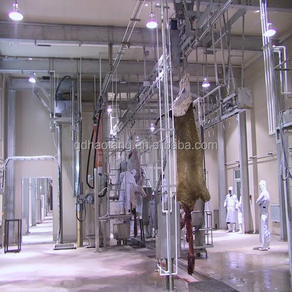 High Quality Slaughter Equipment Horse And Cattle Slaughterhouse For
