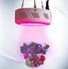 indoor round shape grow let light RED DC Aquaponics system LED plant grow lights