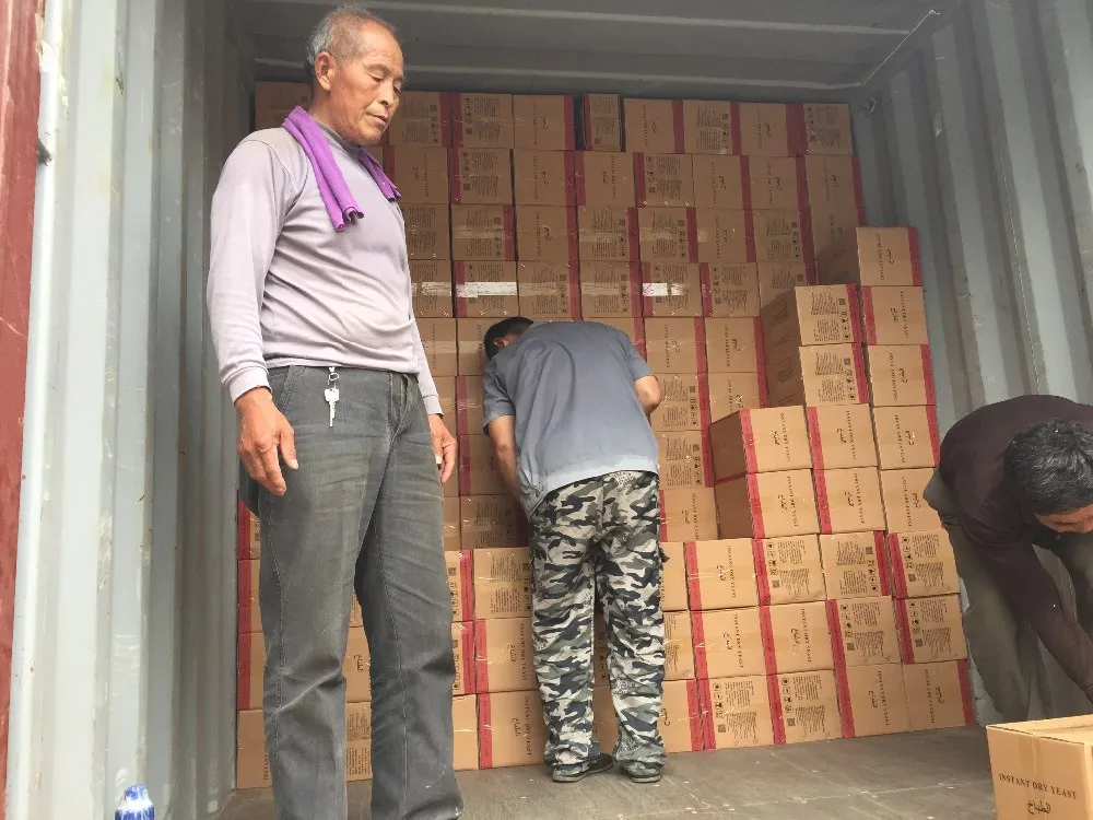 HTB10ho8IFXXXXbzXXXXq6xXFXXX3