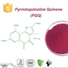 a promising newcomer Vitamin B group,prominent cell activation function,a powerful antioxidant PQQ