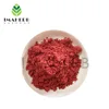 100% natural organic freeze dried strawberry powder for instant drink free sample