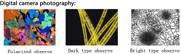 digital camera photography.png